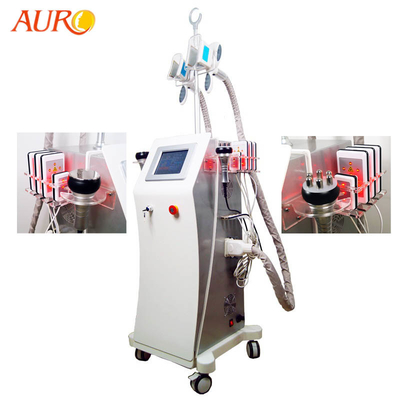 Машина RF 1000W Lipo жирная замерзая Cryolipolysis целлюлита для салона